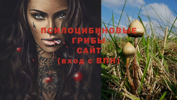 гидра Пролетарск