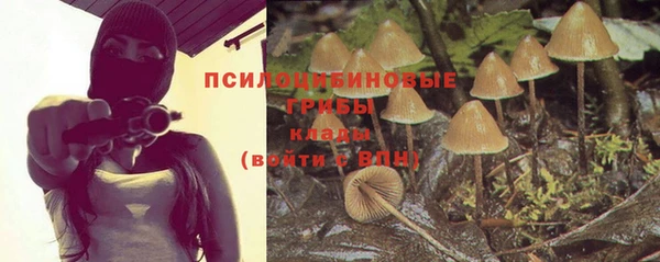 кокаин премиум Козловка
