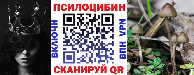 Псилоцибиновые грибы Cubensis  blacksprut ссылки  Углегорск 